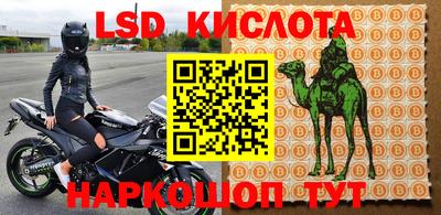 крисы Северобайкальск