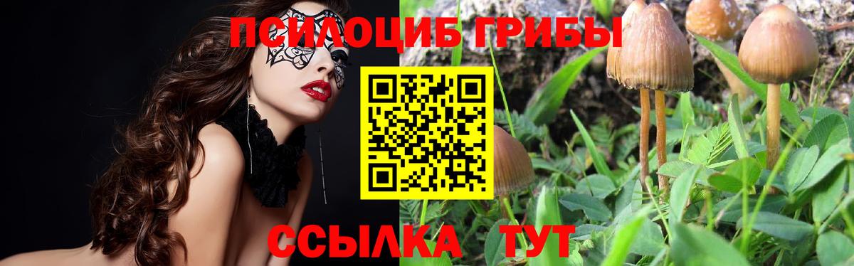 Оренбург  Псилоцибиновые грибы прущие грибы  Вход с VPN 
