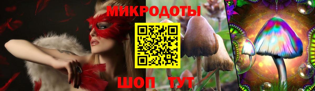 Псилоцибиновые грибы мицелий Оренбург